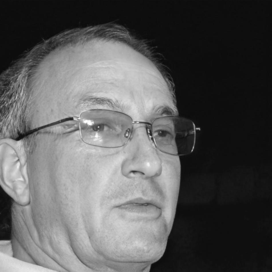Carlos Mendoza, Director Académico